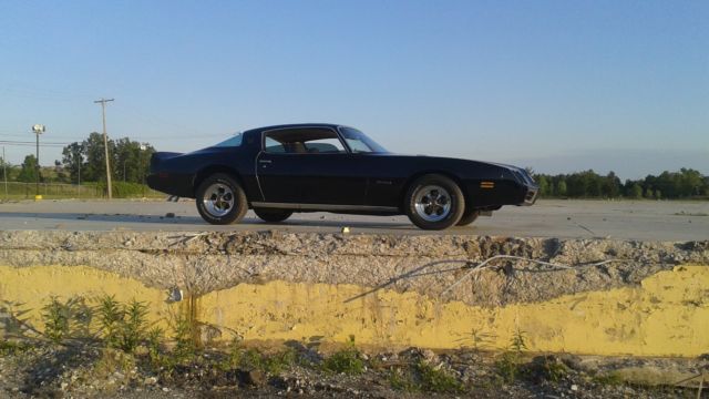 Pontiac Firebird Black and Gold, Ship worldwide! 1979 Pontiac Firebird