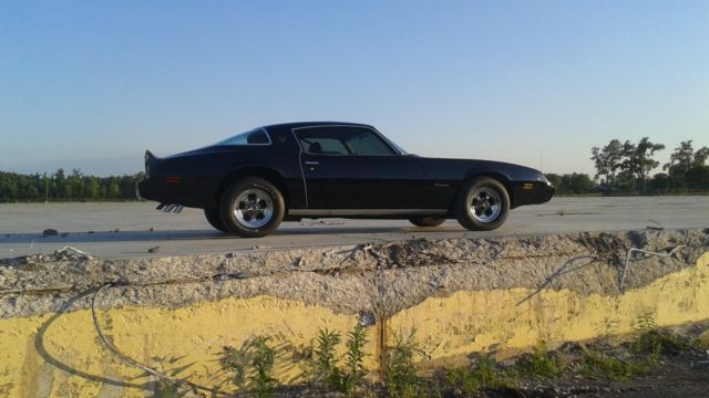 1979 Pontiac Firebird - photo 3