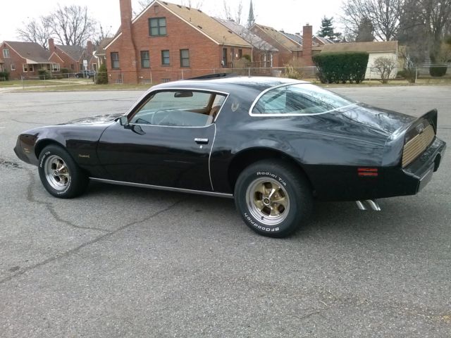1979 Pontiac Firebird - photo 9