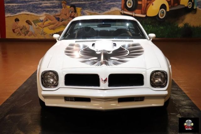 1976 Pontiac Firebird -- - photo 3