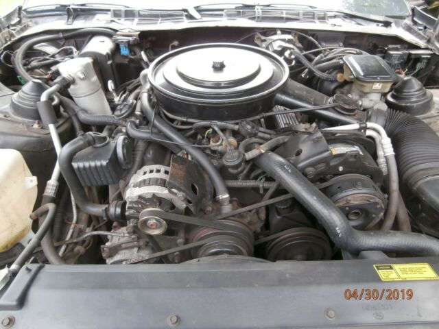 1987 Pontiac Firebird Convertible - photo 5