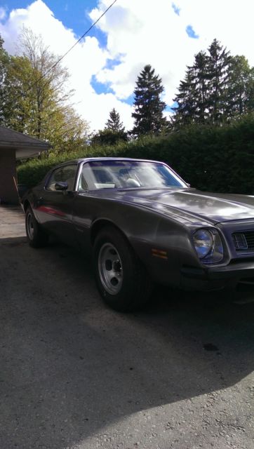 1975 Pontiac Firebird - photo 3