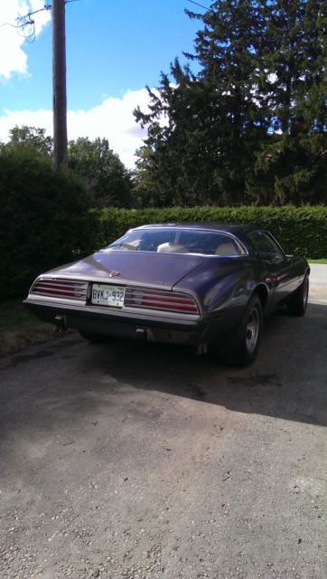 1975 Pontiac Firebird - photo 4