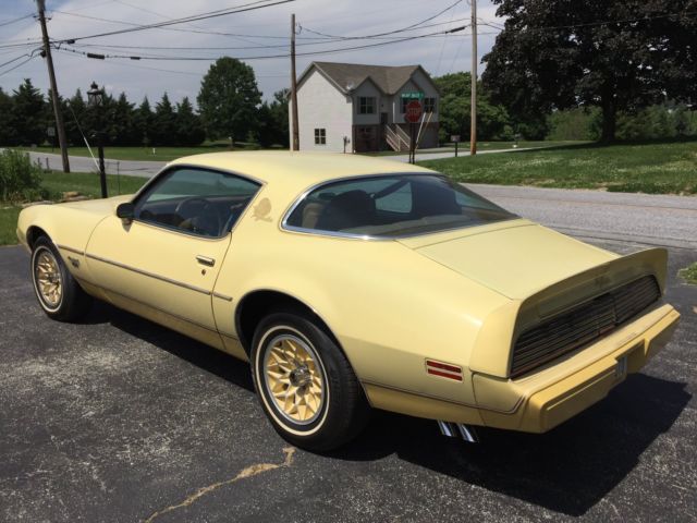Pontiac Firebird Esprit Yellow Bird 1980 Pontiac Firebird
