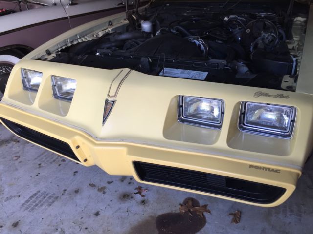 1980 Pontiac Firebird - photo 10