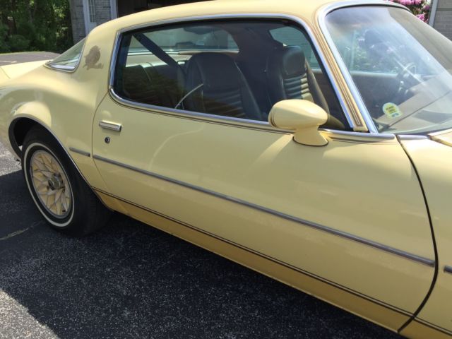 1980 Pontiac Firebird - photo 3