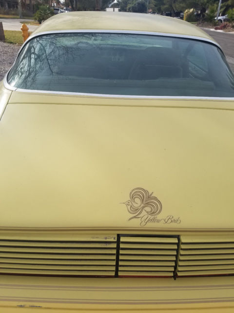 1980 Pontiac Firebird Esprit - photo 2