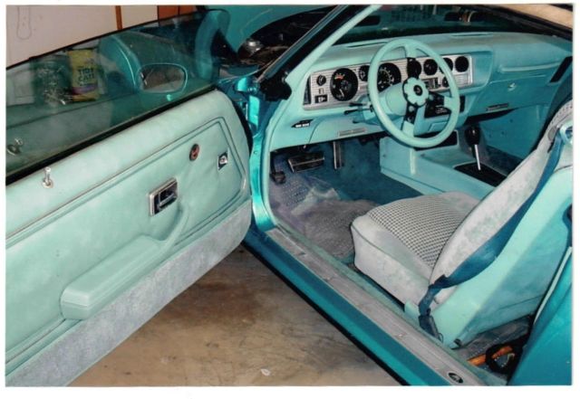 1979 Pontiac Firebird Formula 350 - photo 6