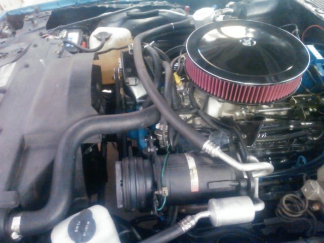 1979 Pontiac Firebird Formula 350 - photo 9