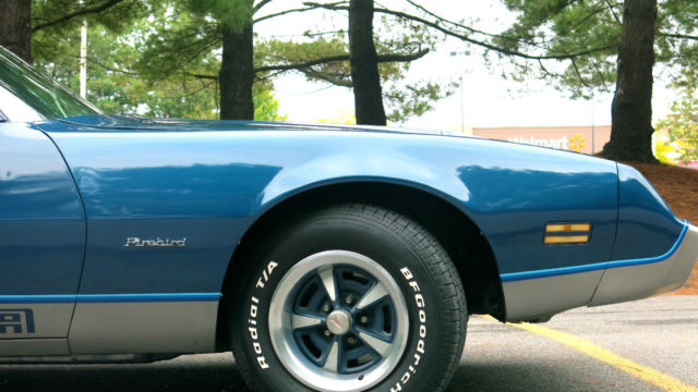 1979 Pontiac Firebird Formula - photo 7