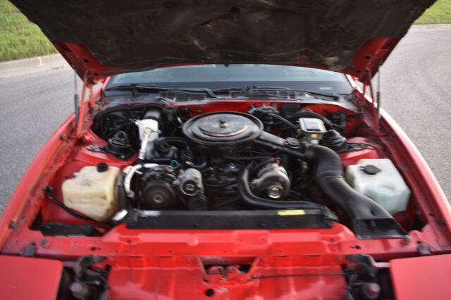 1988 Pontiac Firebird WS6 - photo 11