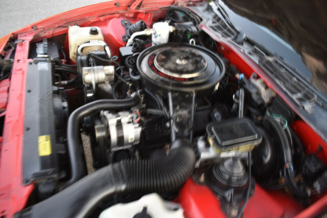 1988 Pontiac Firebird WS6 - photo 12