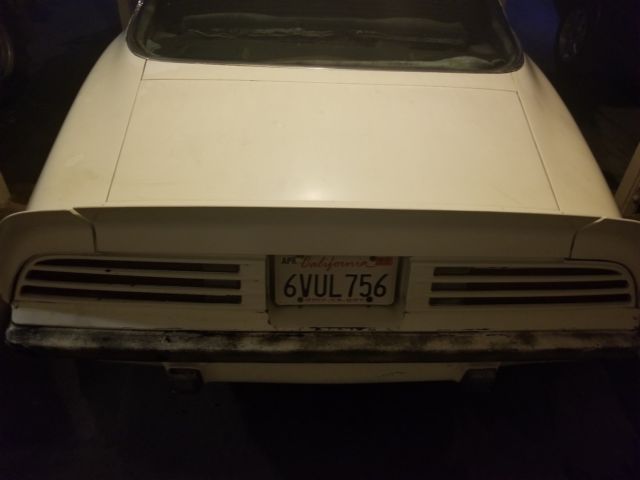 1975 Pontiac Firebird Trans Am - photo 11