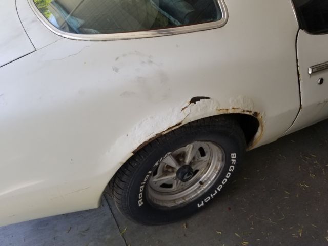 1975 Pontiac Firebird Trans Am - photo 8