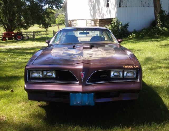 1977 Pontiac Trans Am more picture drop box link available