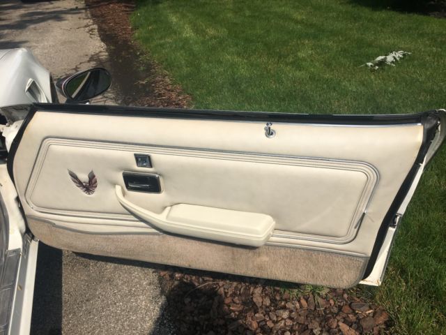 1980 Pontiac Trans Am gray - photo 11