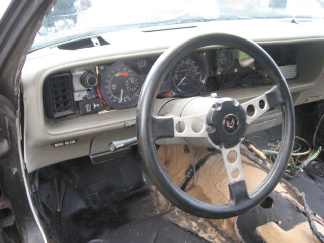 1980 Pontiac Firebird Trans Am - photo 2