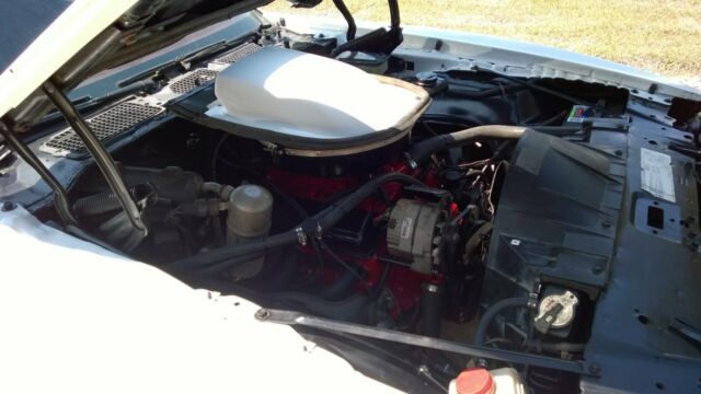 1981 Pontiac Trans Am 2 door coupe - photo 6