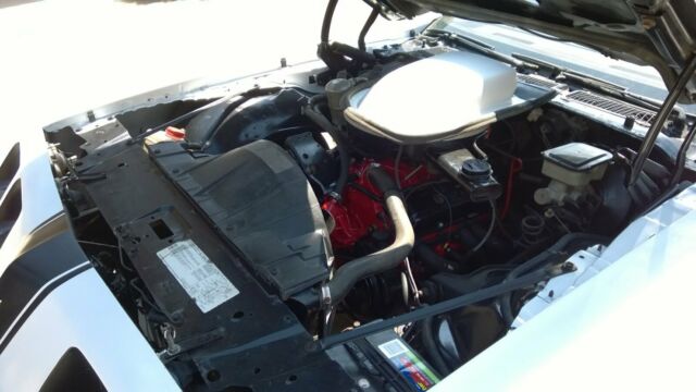 1981 Pontiac Trans Am 2 door coupe - photo 7