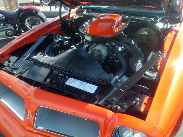 1976 Pontiac Trans Am - photo 10