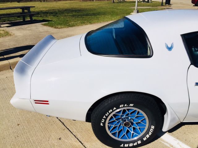1981 Pontiac Trans Am Trans-Am - photo 10