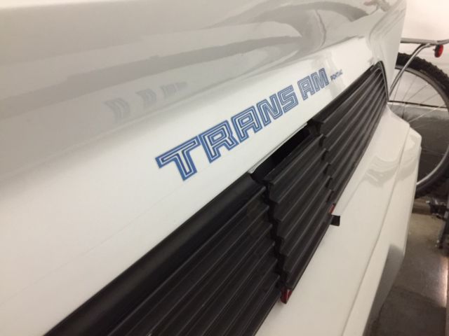 1981 Pontiac Trans Am Trans-Am - photo 3