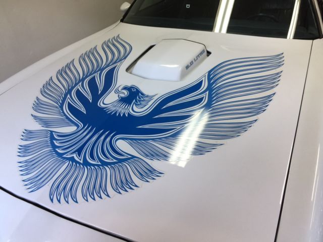 1981 Pontiac Trans Am Trans-Am - photo 5