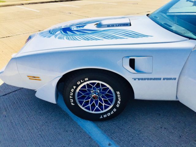 1981 Pontiac Trans Am Trans-Am - photo 7