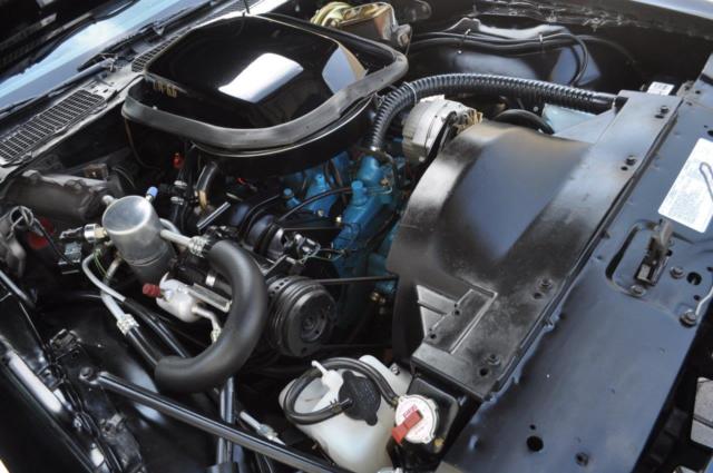 1978 Pontiac Trans Am perfomance package - photo 11