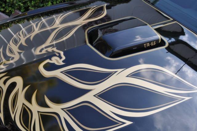 1978 Pontiac Trans Am perfomance package - photo 5