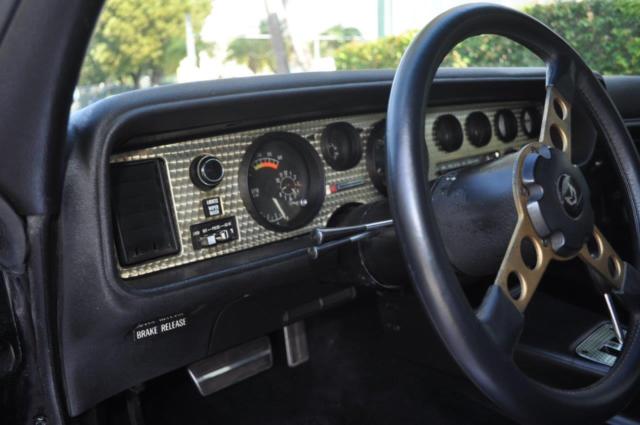 1978 Pontiac Trans Am perfomance package - photo 8