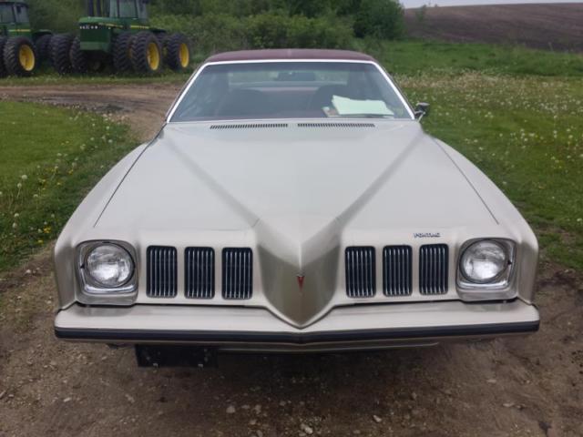 1973 Pontiac Grand Am 2HT - photo 3