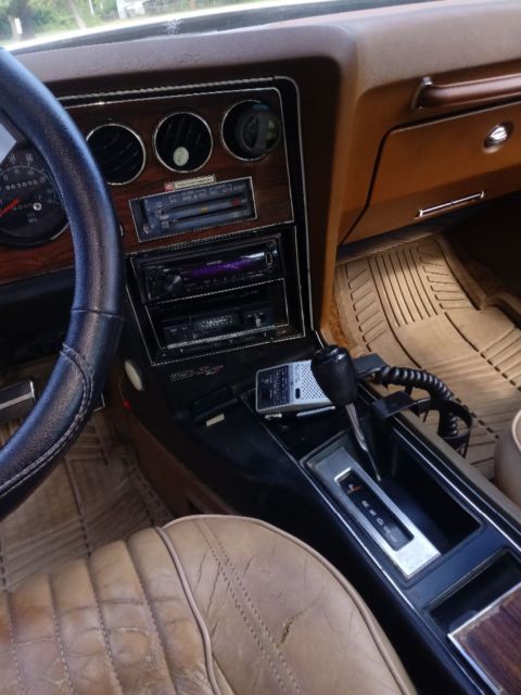 1976 Pontiac Grand Prix - photo 9