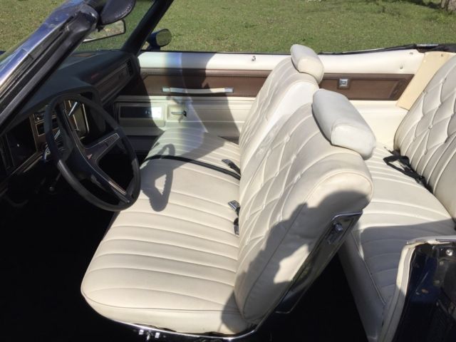 1974 Pontiac Other Convertible - photo 3