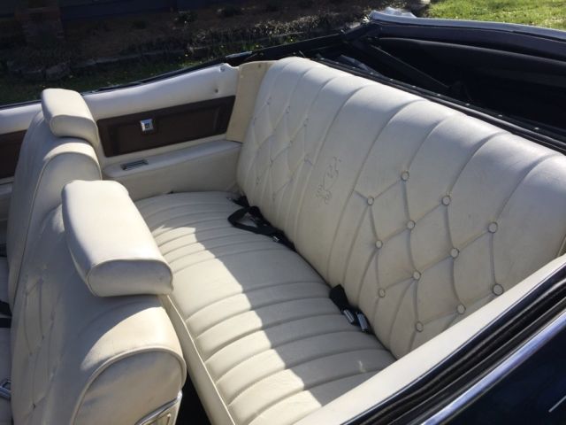 1974 Pontiac Other Convertible - photo 4