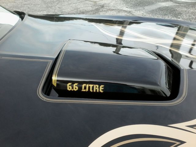 1979 Pontiac Firebird Formula/Trans Am - photo 10