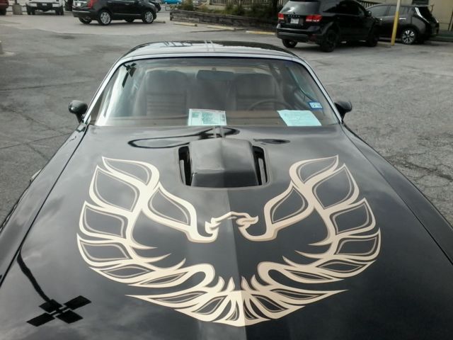 1979 Pontiac Firebird Formula/Trans Am - photo 11