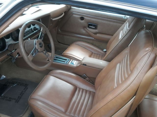 1979 Pontiac Firebird Formula/Trans Am - photo 12