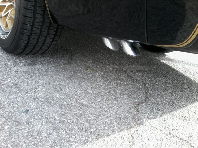 1979 Pontiac Firebird Formula/Trans Am - photo 9