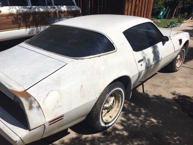 1981 Pontiac Trans Am - photo 11