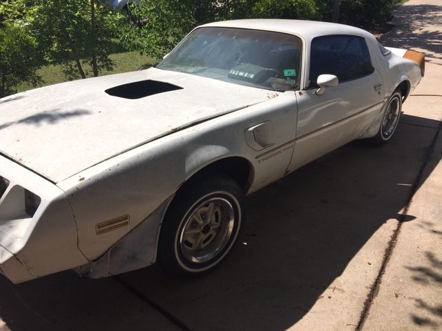 1981 Pontiac Trans Am - photo 2