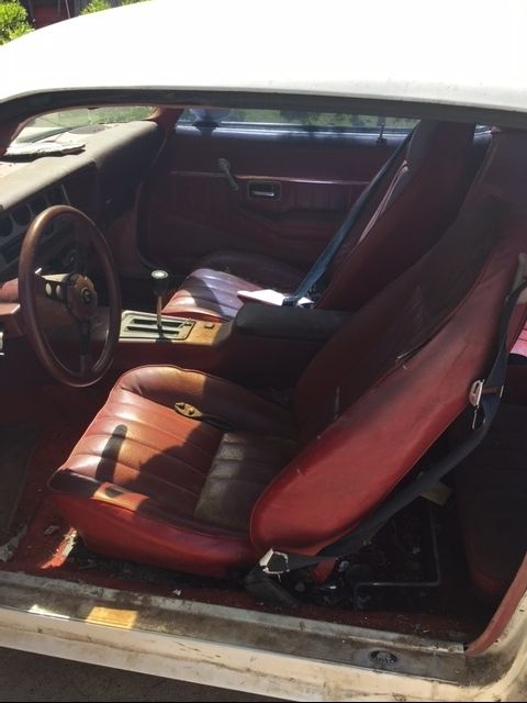 1981 Pontiac Trans Am - photo 4