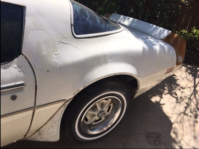 1981 Pontiac Trans Am - photo 8