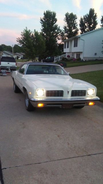1973 Pontiac Le Mans Luxury