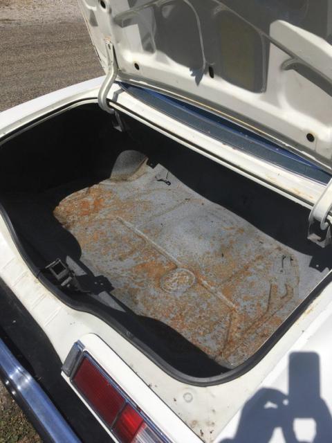 1973 Pontiac Le Mans Luxury - photo 12