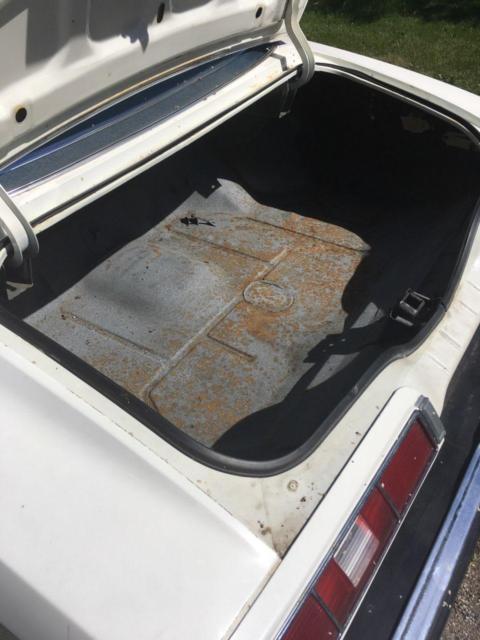 1973 Pontiac Le Mans Luxury - photo 13