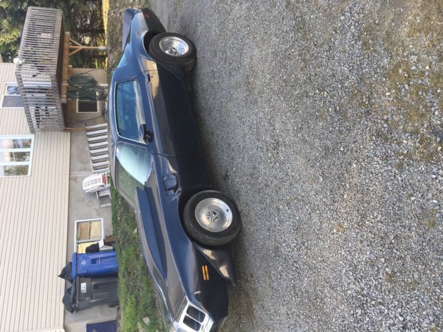 1981 Pontiac Trans Am - photo 3