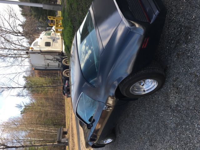 1981 Pontiac Trans Am - photo 4