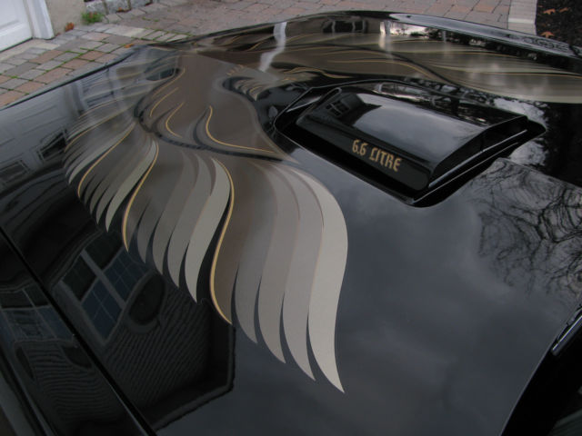 1978 Pontiac Trans Am - photo 13