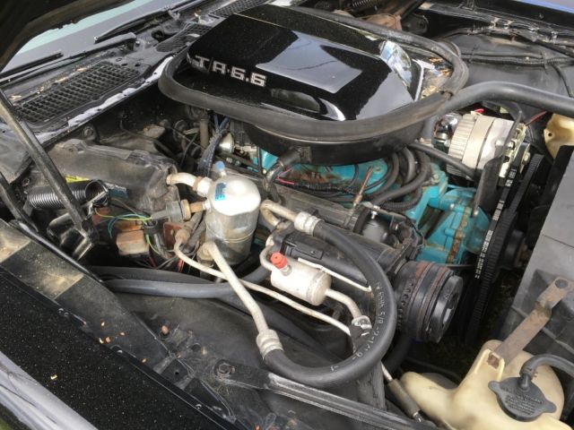 1980 Pontiac Trans Am - photo 11